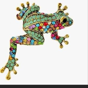 Multicolored Gemstone Frog Brooch